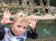 20130908_154449519_iOS