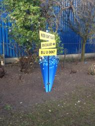 20150310_151932841_iOS